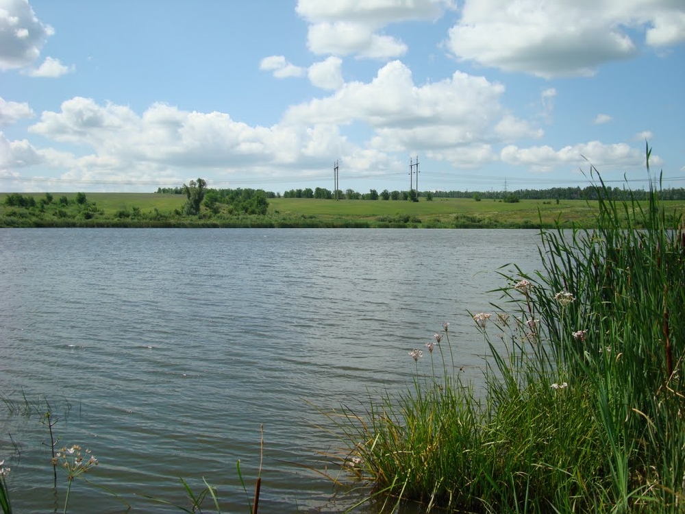 Серебрековский пруд (Больше-Ивановский)