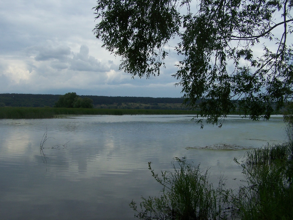 Устье реки Терешки