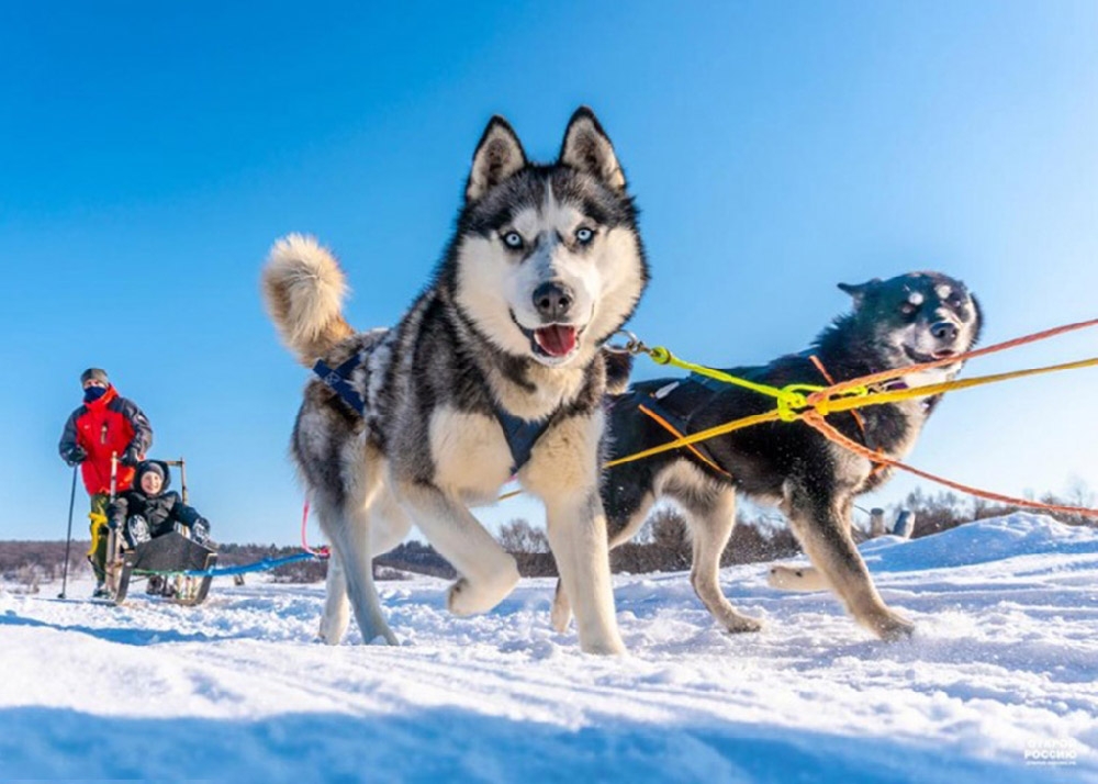 Путешествие в гости к снежным собакам