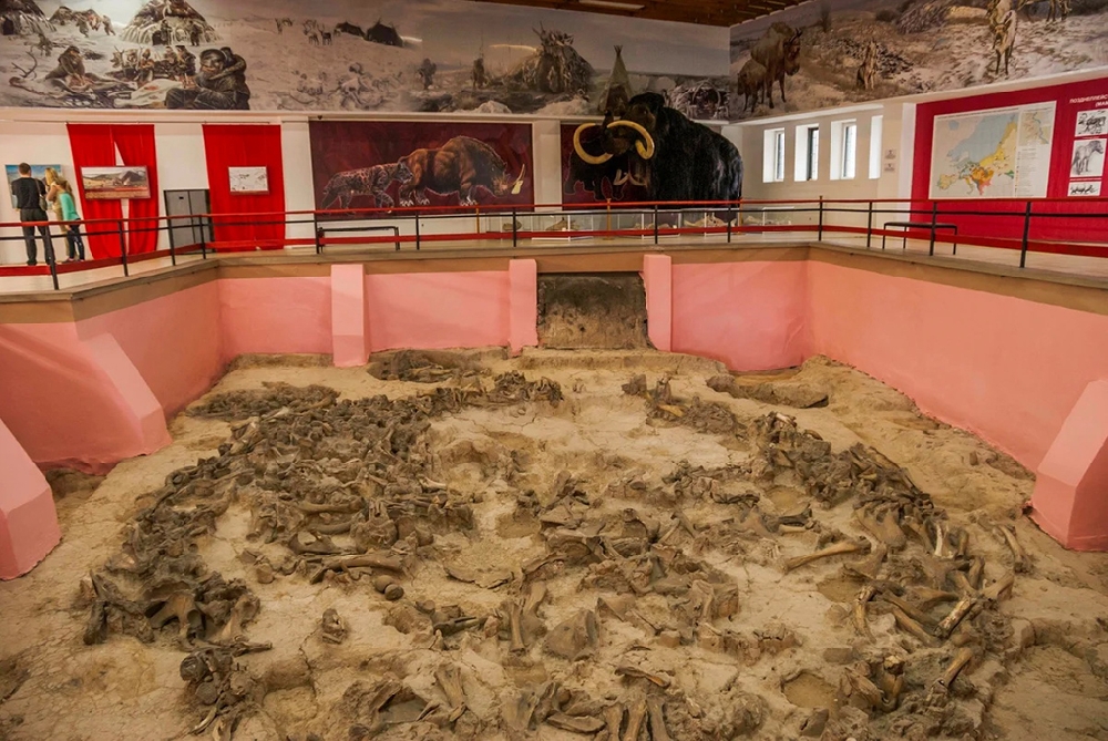 Государственный археологический музей-заповедник «Костёнки»