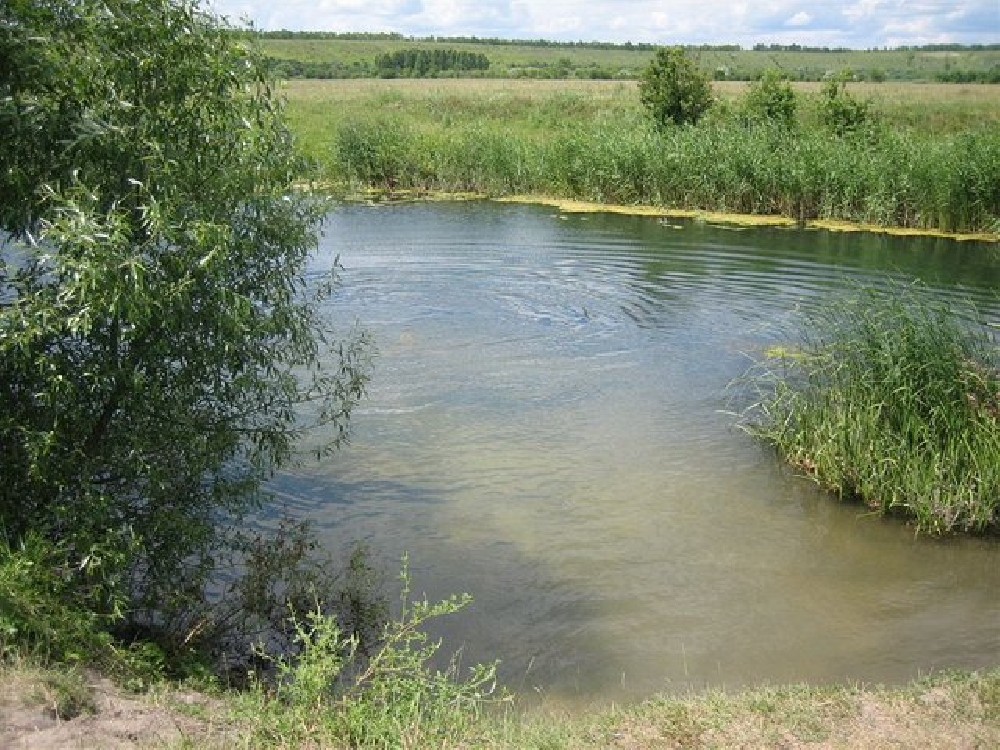 Устье реки Терновки и пруды