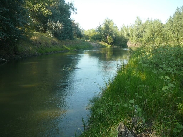 В Саратовской области расчистят русла 13 рек