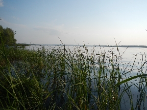 Остров Воронок озеро Кокинское
