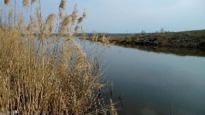 Берег Александровского пруда