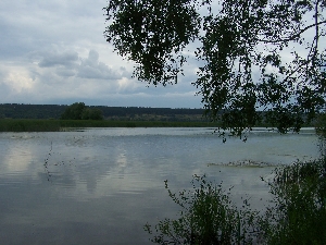Устье реки Терешки