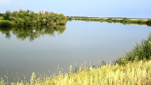 Озеро Калач