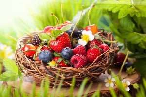 Дикорастущие съедобные ягоды и плоды Саратовской области