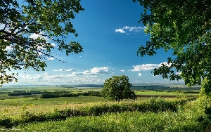 Природа Саратовской области