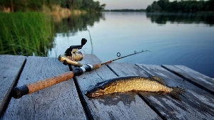 Рыболовные места на Волге в Саратовской области