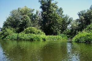 Урочище Алексеевка на речке Карамыш