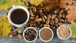 Заменители кофе и кофейные напитки из растений