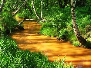 Река Соколка (приток Чардыма)