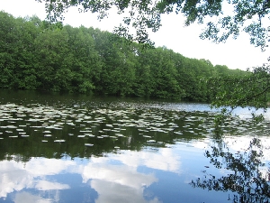 Озеро Лещёво