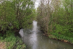 Река Каналейка