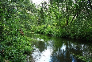 Река Латрык