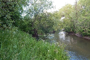 Река Чечуйка