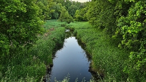 Малые реки Саратовской области