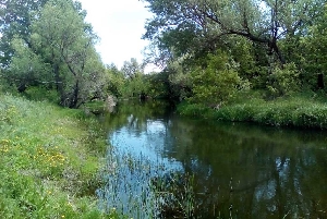 Река Сосновка (приток Медведицы)