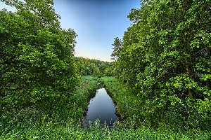 Река Тауза