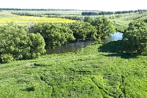 Река Хорошевка