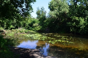 Река Мокрая (приток Песчанки)