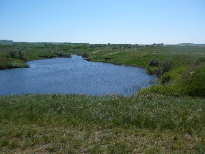 Лёвин пруд (Новиковский)