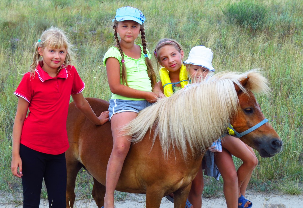 Конно-туристический клуб "Добрая Лошадь"
