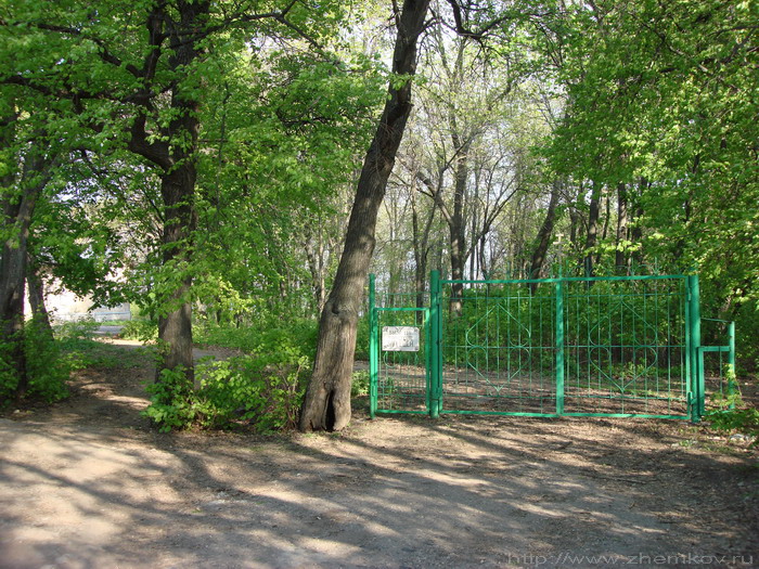Фрагмент приусадебного парка Воронцовых-Дашковых