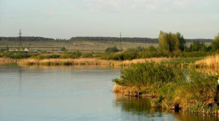 Александровский пруд