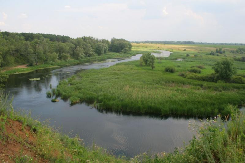 Река Саратовка