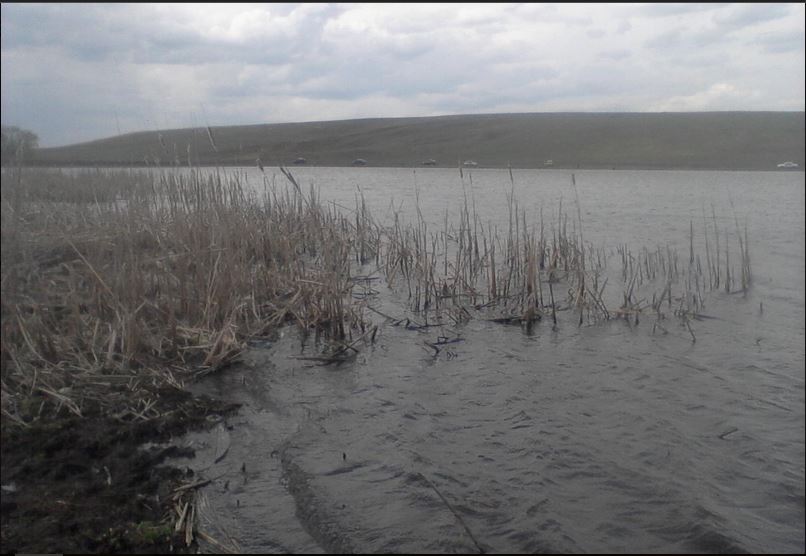 Серебрековский пруд (Больше-Ивановский)