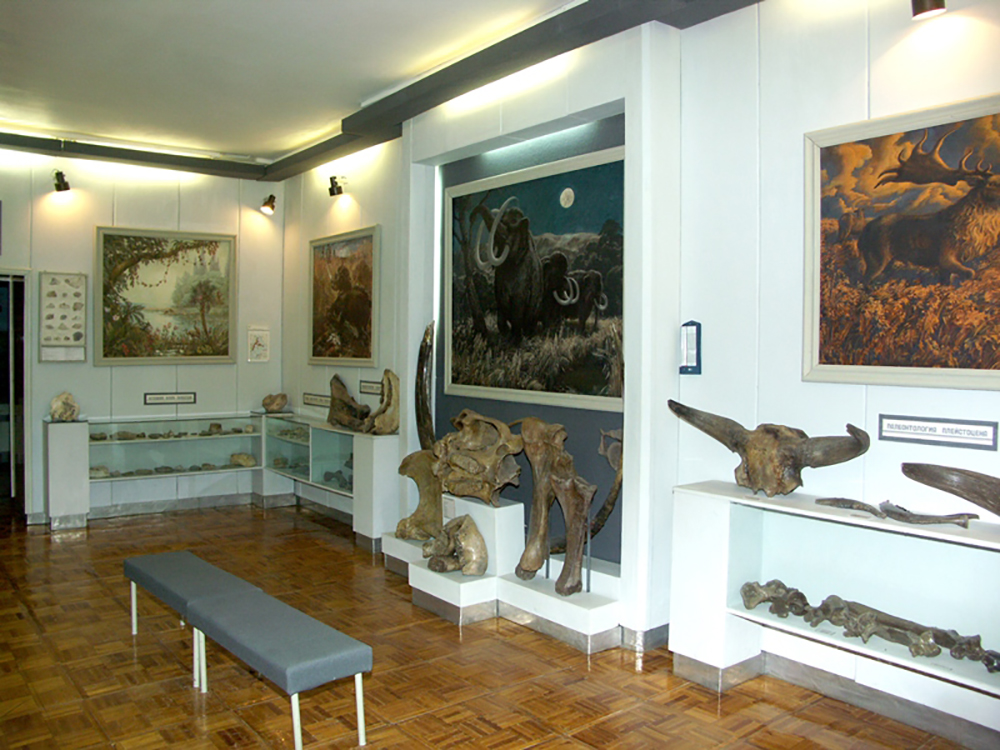 Краеведческий музей Вольска, отдел природы