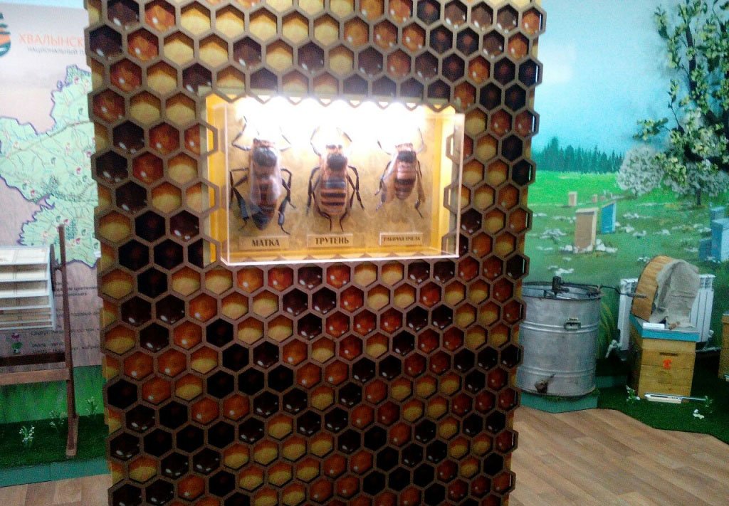 Музей Пчелы