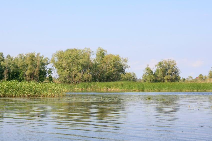Река Каюковка