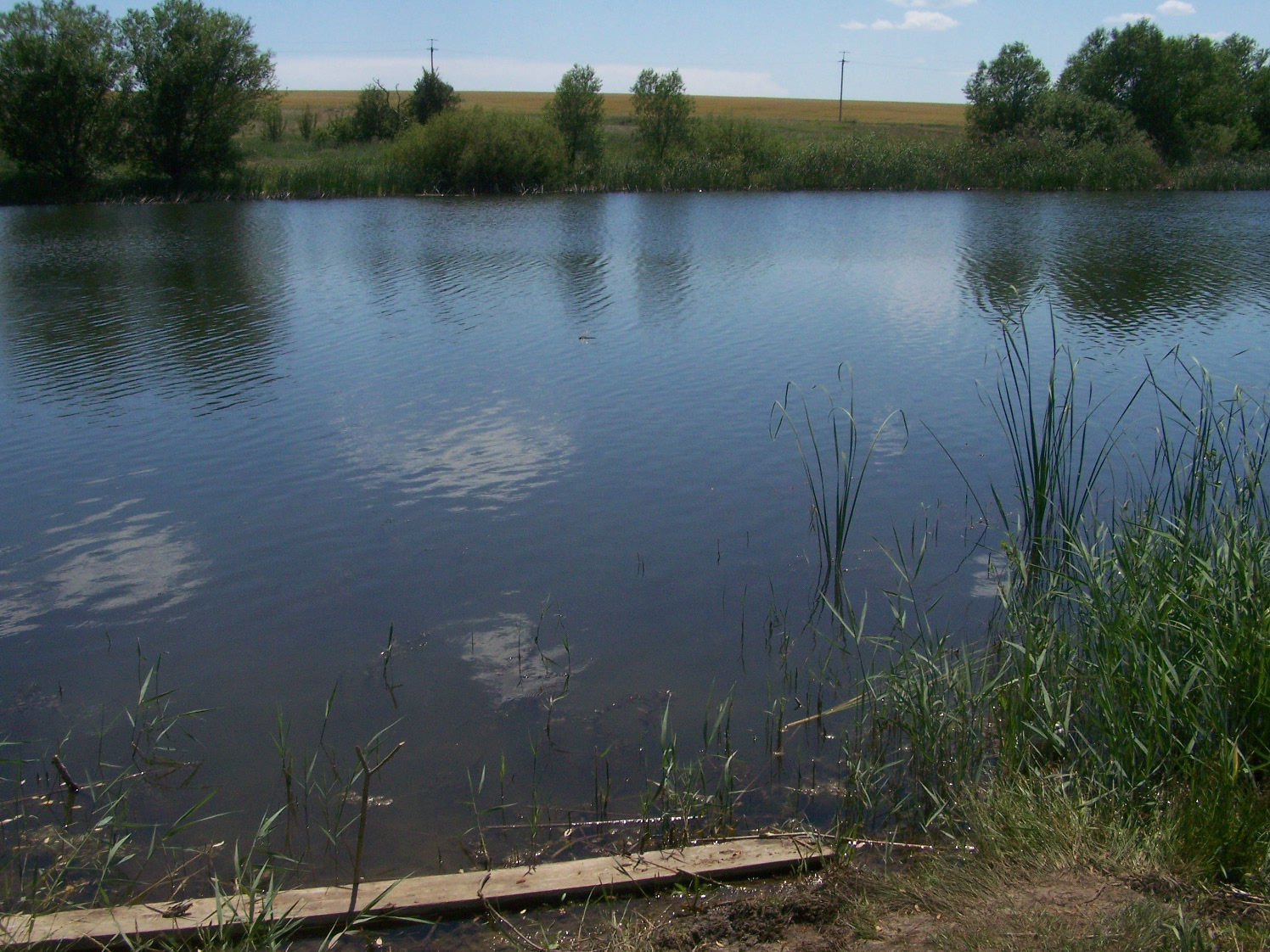 Славянский пруд