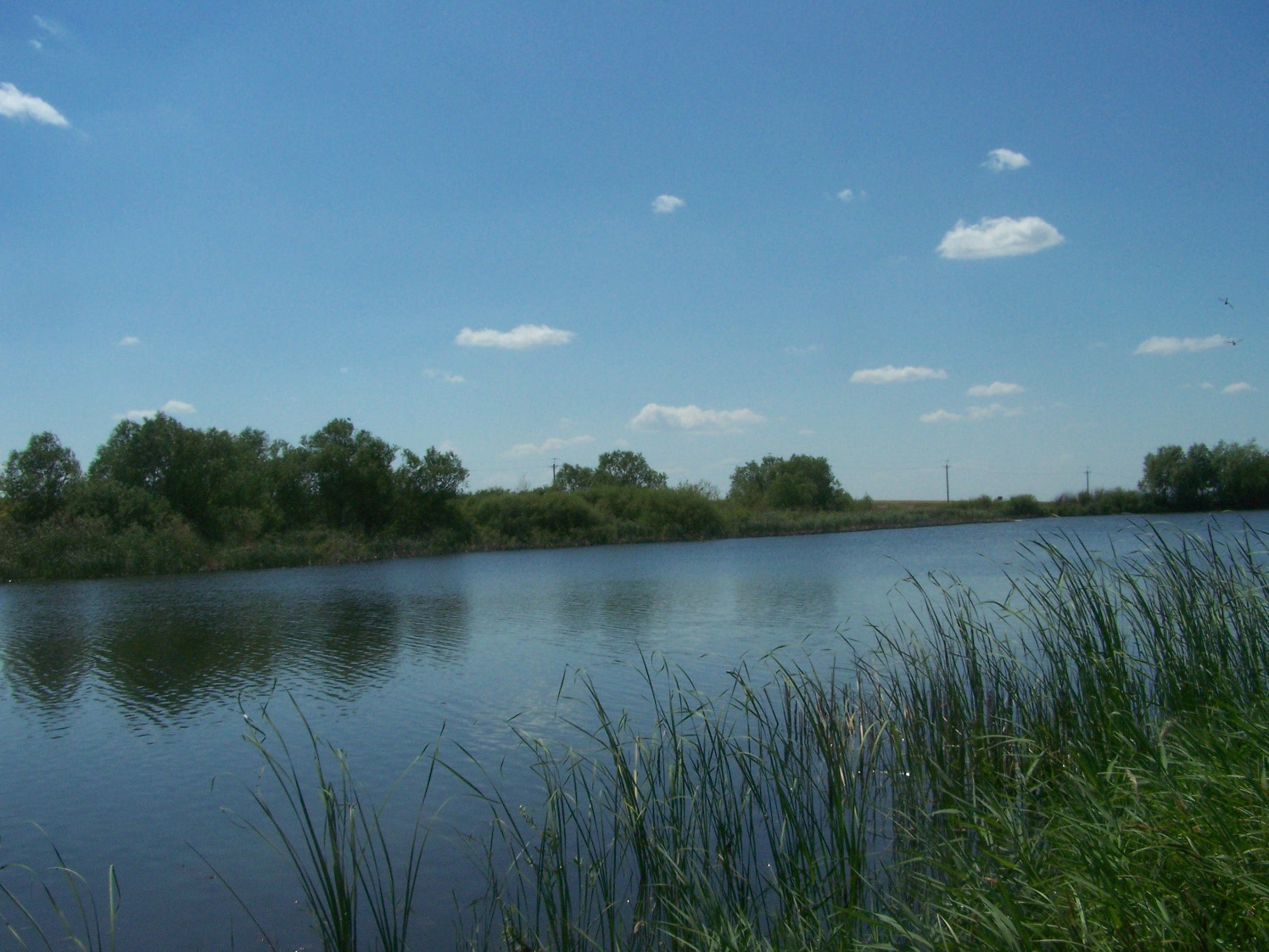Славянский пруд