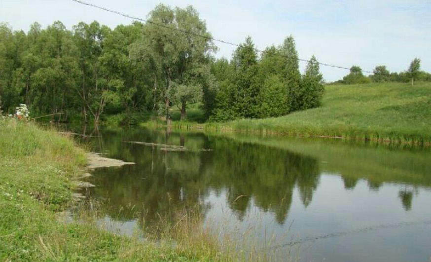 Бобровский пруд