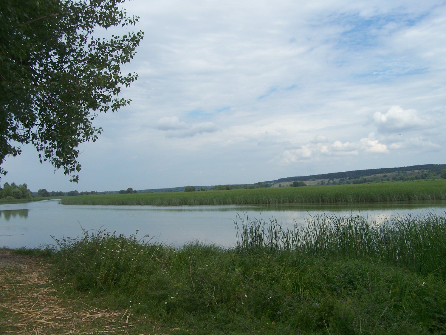 Усовский берег реки Терешки