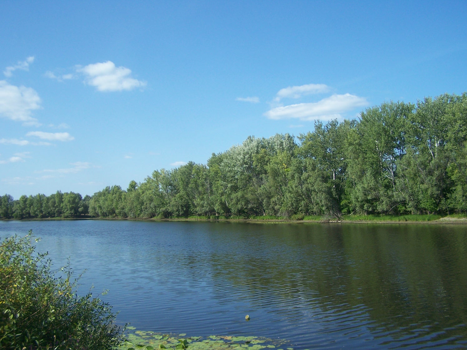 Речка Берёзовка