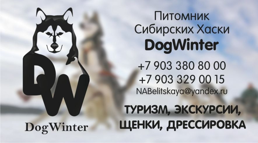 Питомник сибирских хаски «Dog Winter»