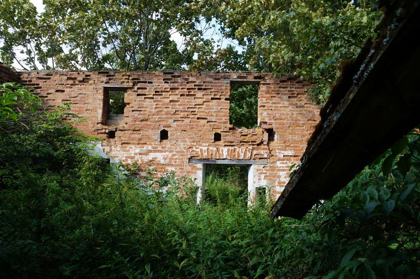Руины Щербиновской барской усадьбы