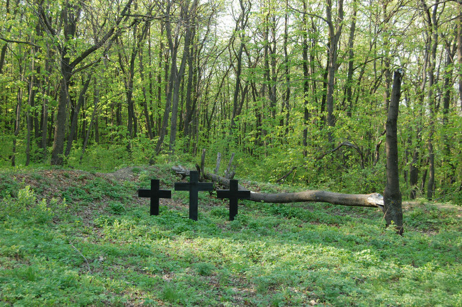 Военно-мемориальное кладбище венгерских военнопленных