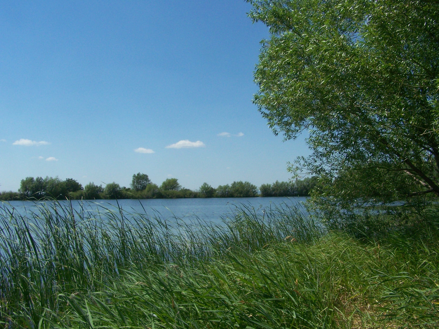 Луганский пруд