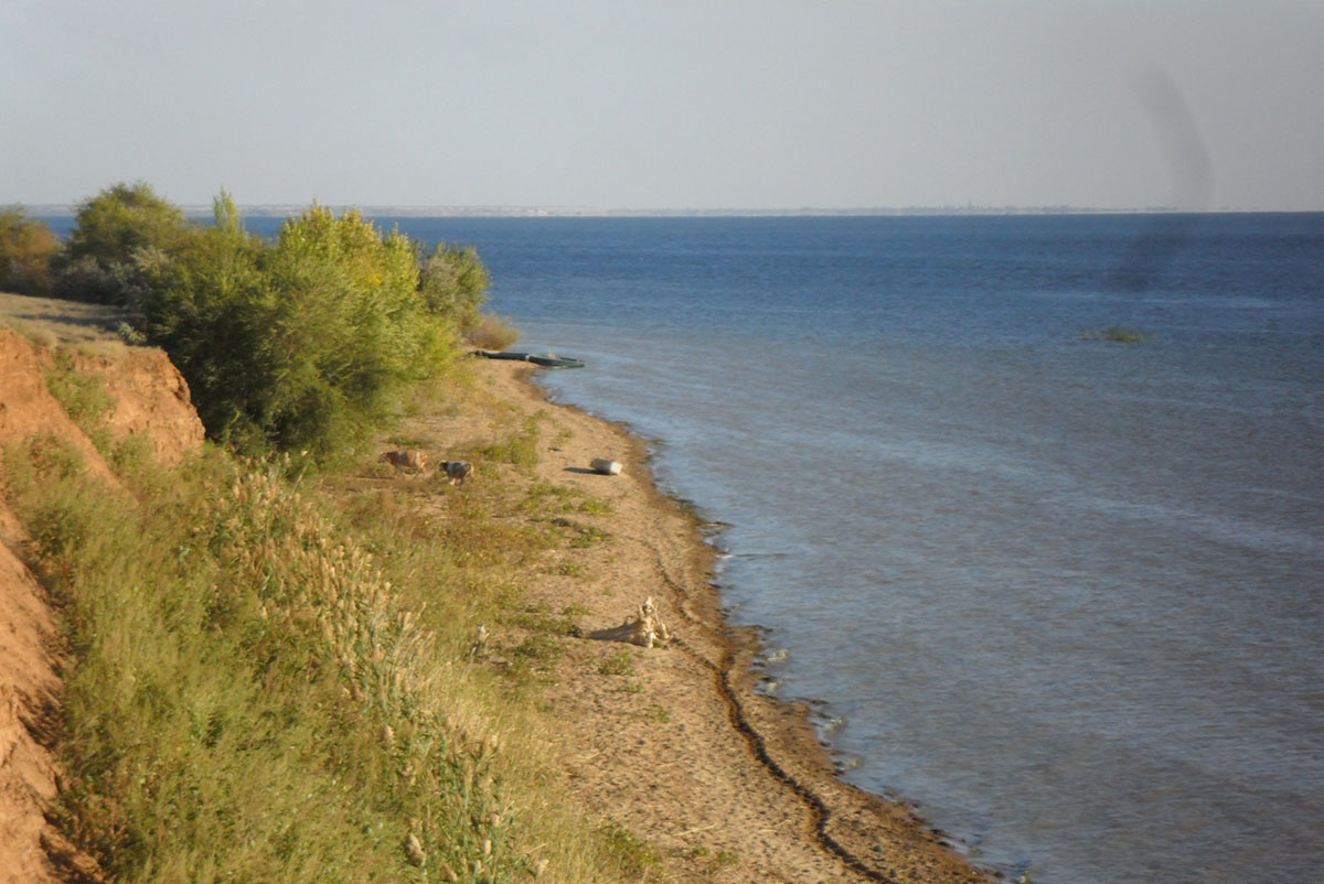 Кочетновский берег