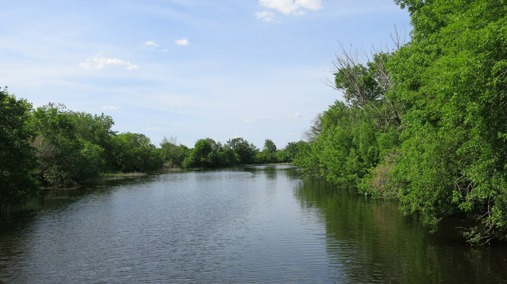Река Елань