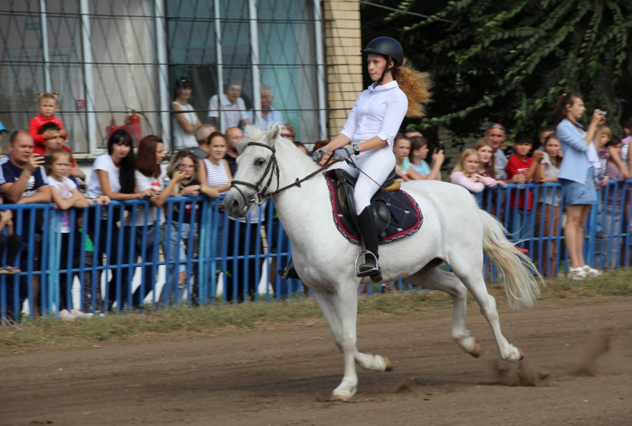Кубок Губернатора Саратовской области по конному спорту
