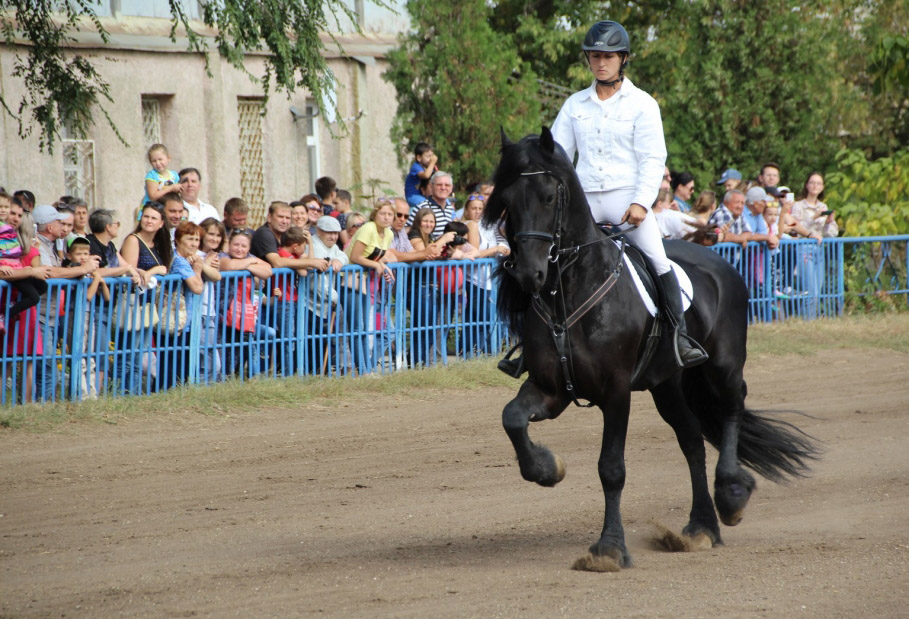 Кубок Губернатора Саратовской области по конному спорту