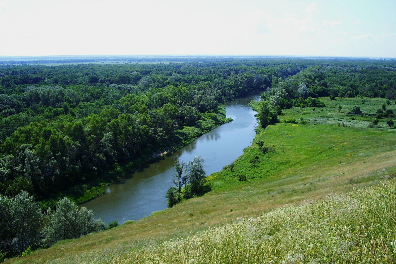 Крупнейшие реки Саратовской области
