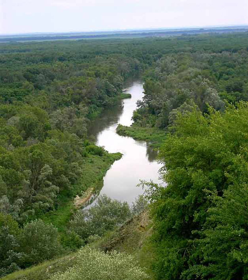 Район слияния рек Медведица и Карамыш