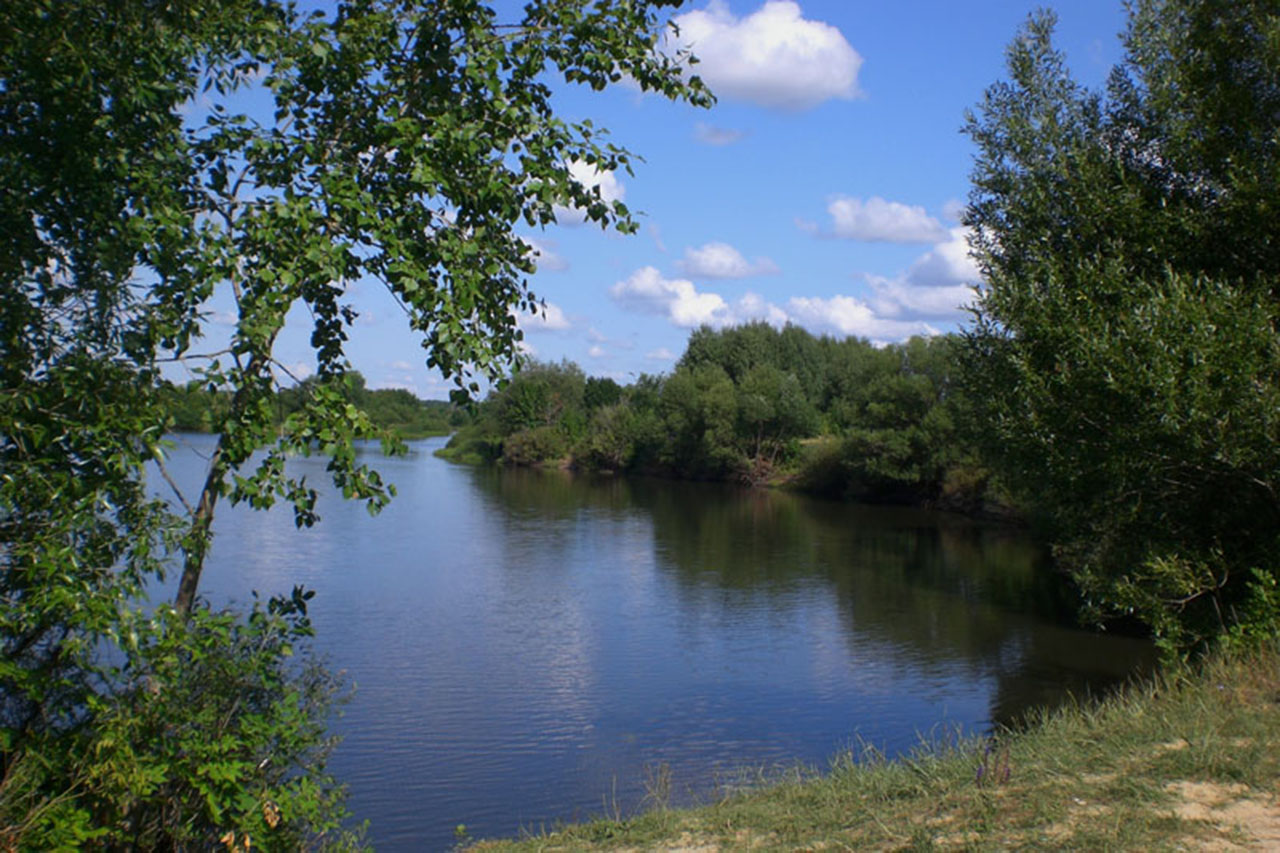 Район впадения в Медведицу реки Идолга